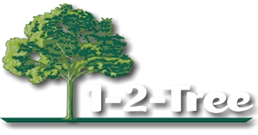 1-2-Tree